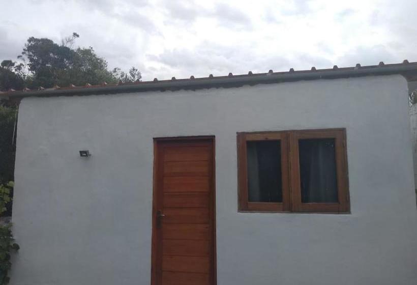 هاستل Buenavida