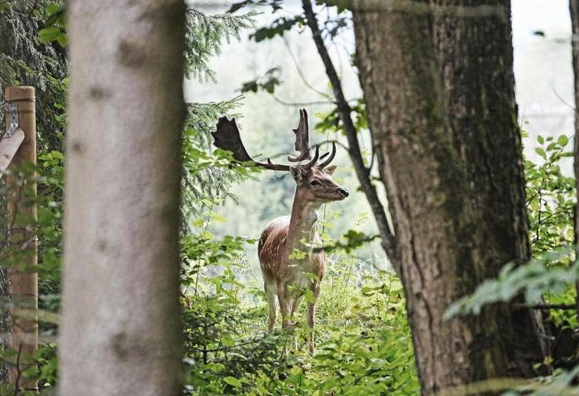 پانسیون Apartmány Chata Večernice