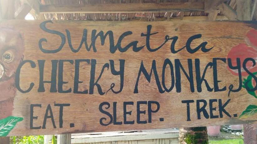 پانسیون Sumatra Cheeky Monkeys
