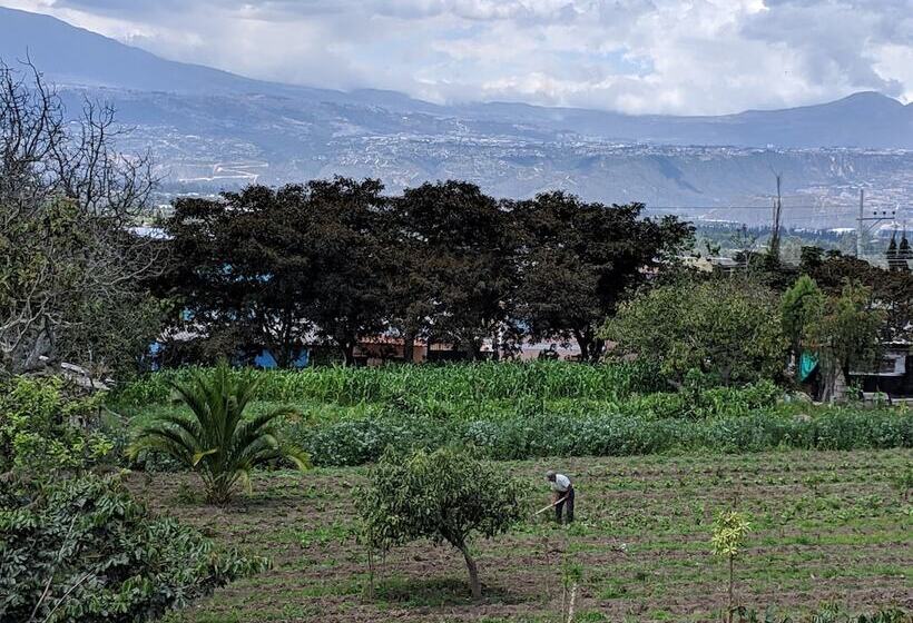 هاستل Venus De Valdivia Aeropuerto