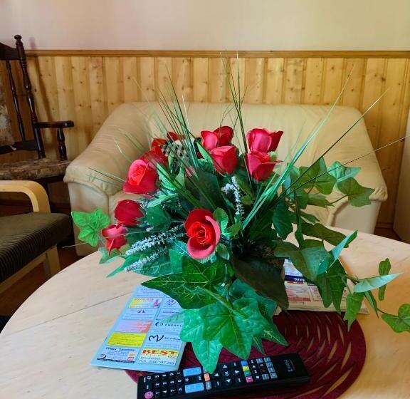 فندق صغير Majatalo Tyrni