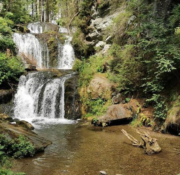 Отель Biohof Gölly