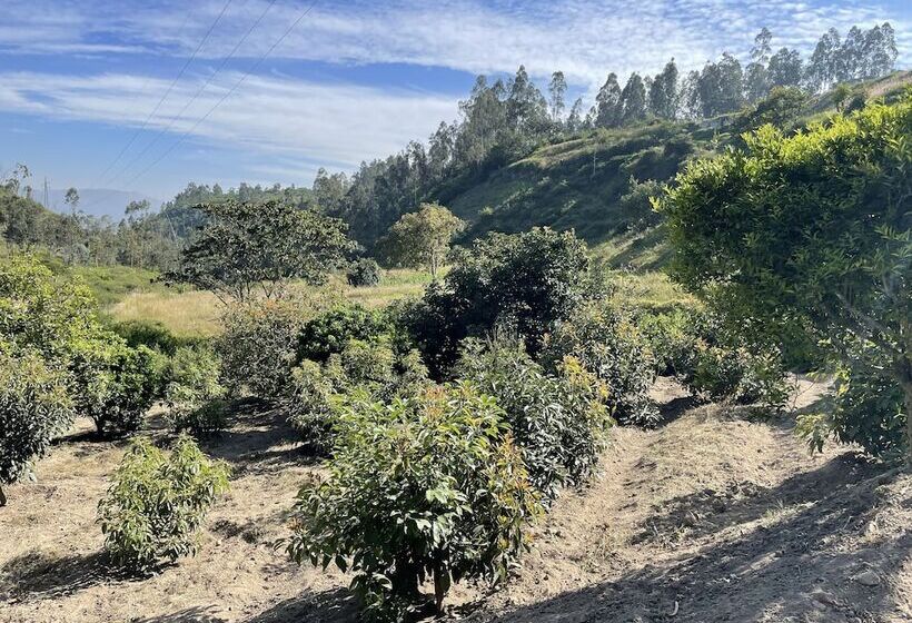 Quito Airport Suites Hotel