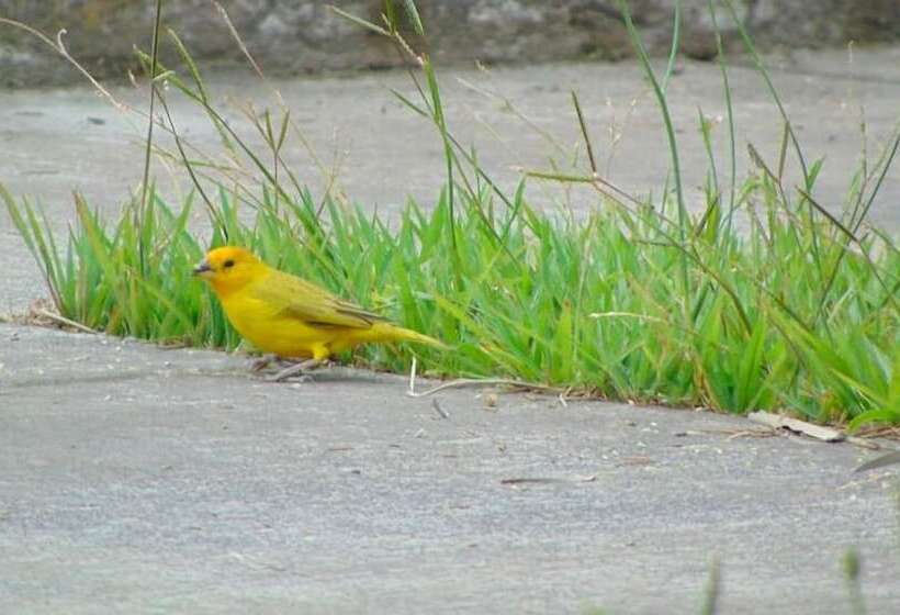 Quito Airport Suites Hotel