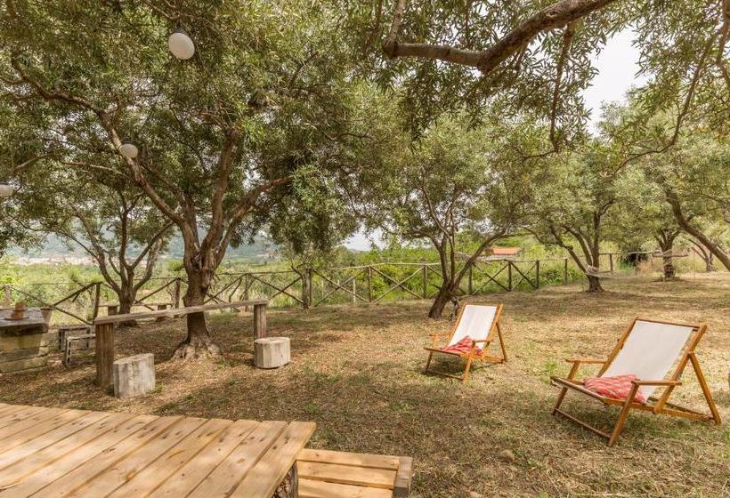 فندق Fondo Cipollate