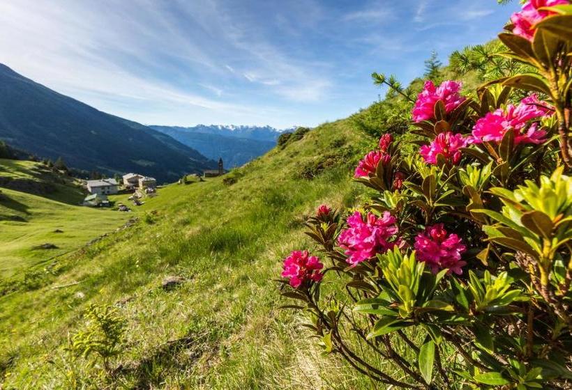 בית מלון כפרי Rifugio Alpe San Romerio