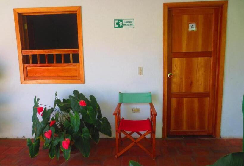 پانسیون Mi Ranchito, Centro