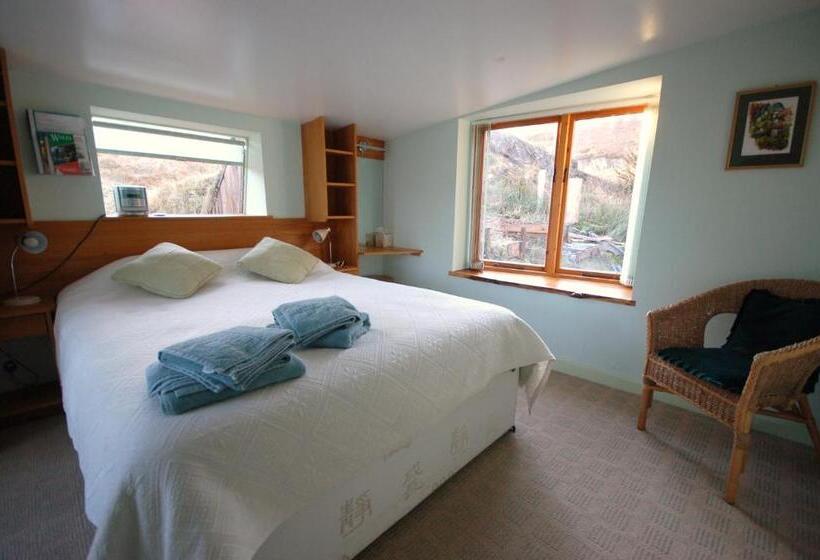 פנסיון Bryn Elltyd Eco House