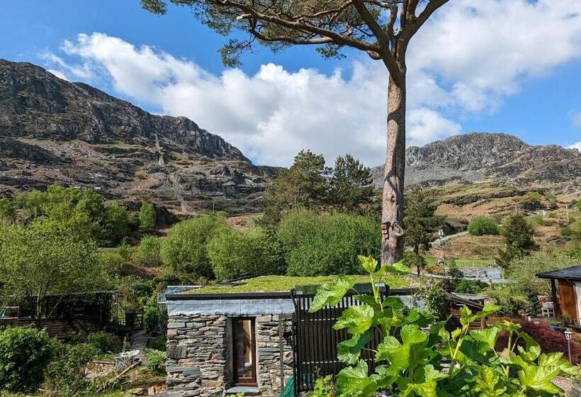 פנסיון Bryn Elltyd Eco House