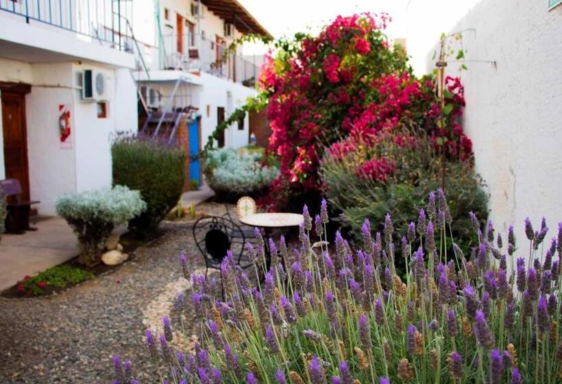 هاستل Divina Presencia