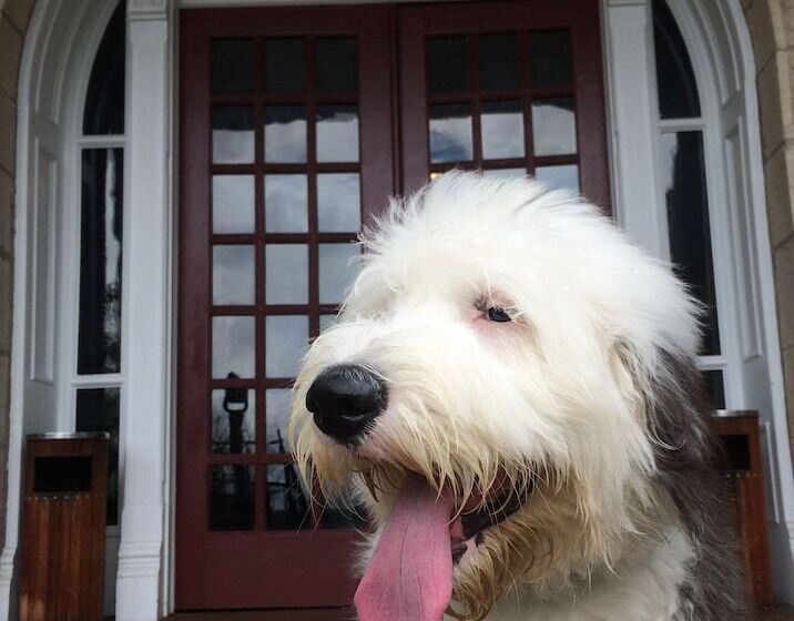 1886 Crescent Hotel And Spa