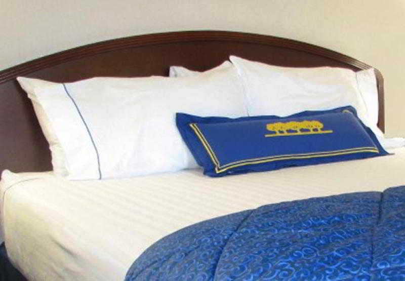 هتل Courtyard By Marriott Dallas Dfw Airport North/irving