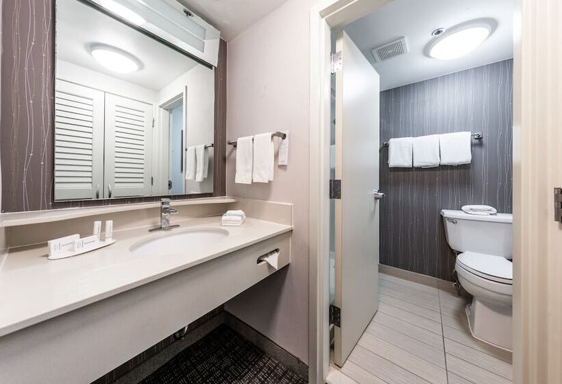 فندق Courtyard Laredo