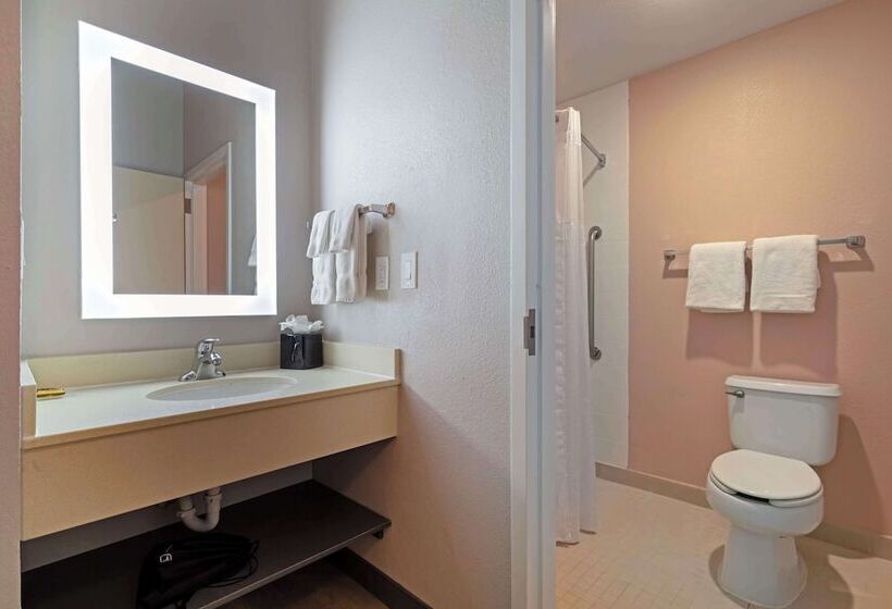 هتل Best Western Plus Fort Worth North
