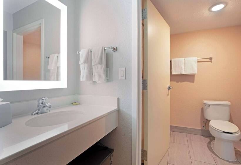هتل Best Western Plus Fort Worth North