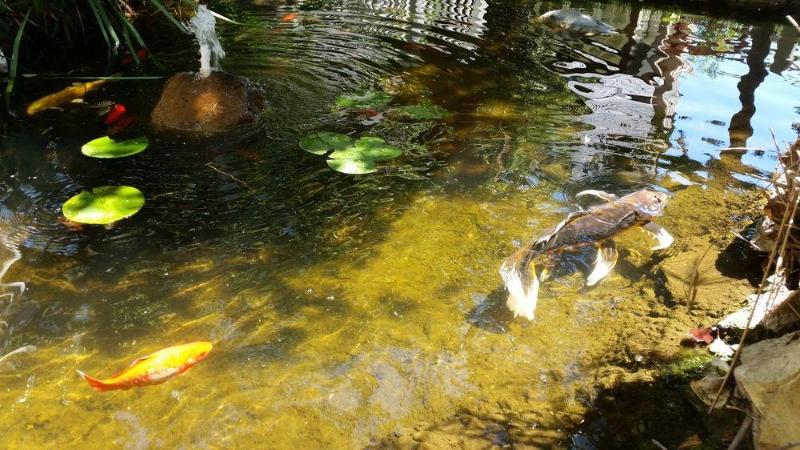 בית מלון כפרי Wine Valley Inn