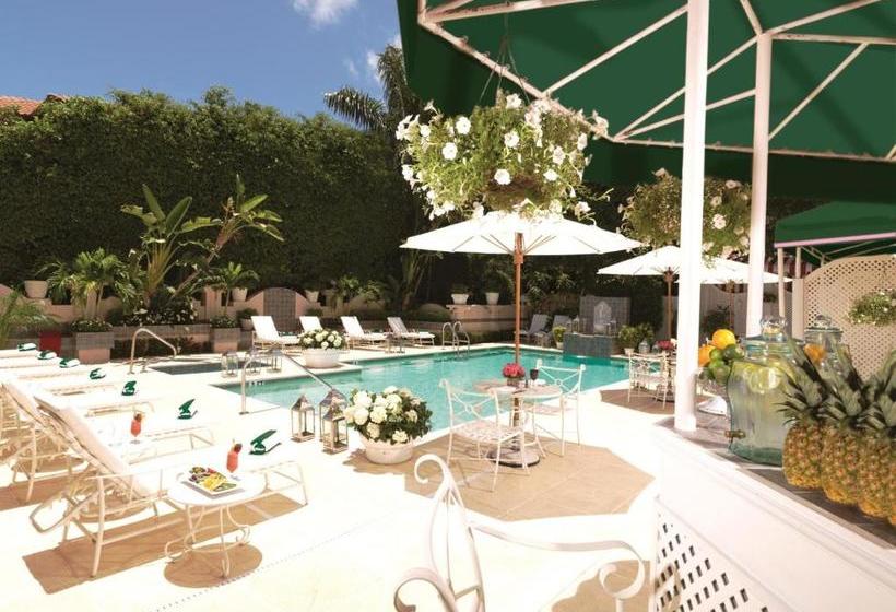 Отель The Chesterfield  Palm Beach