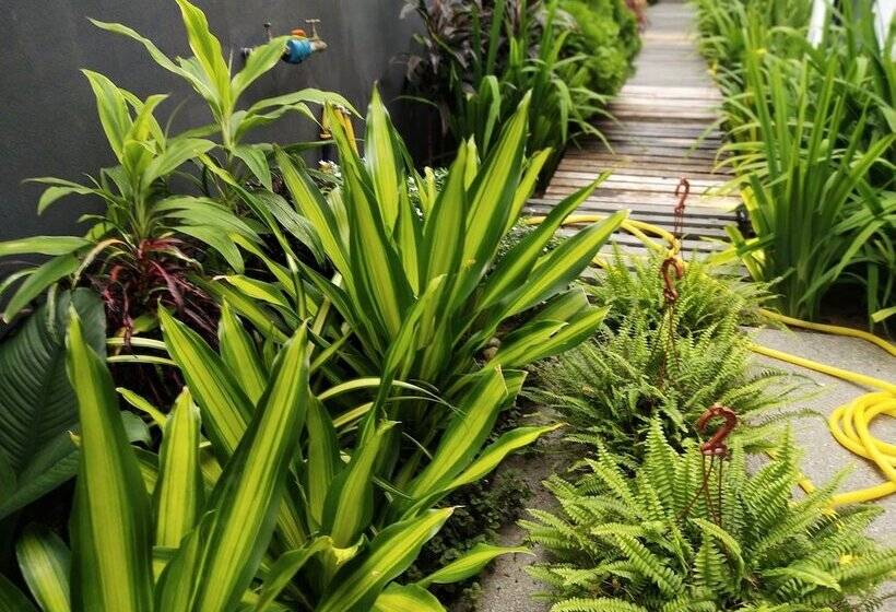 هتل Beds In Garden Hostel Sdn Bhd