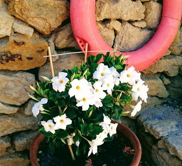 پانسیون Hospedería Ancladero