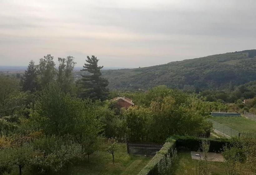 پانسیون Aleksandar Vila Br