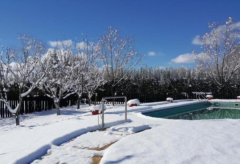 فندق صغير La Posada Del Jamón