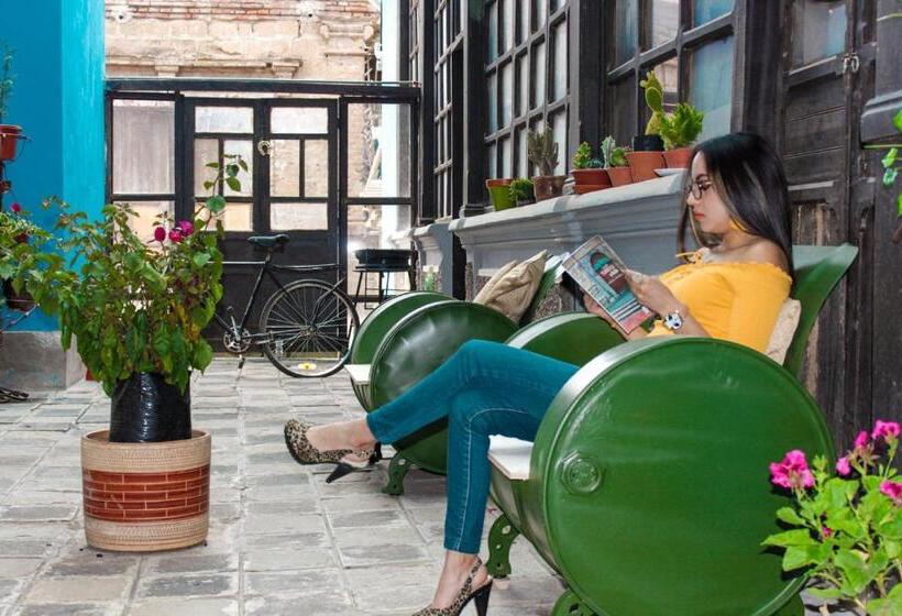 تختخواب و صبحانه Villa Bonita Hostel