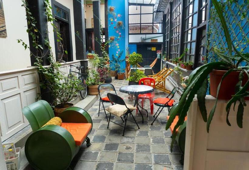 تختخواب و صبحانه Villa Bonita Hostel