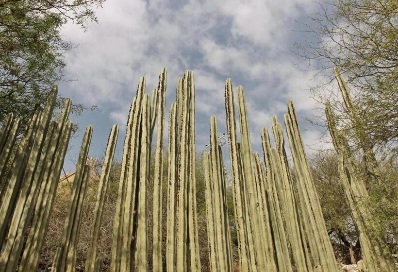 بنسيون Casa De Cactus