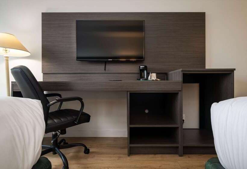 فندق Baymont Inn & Suites By Wyndham