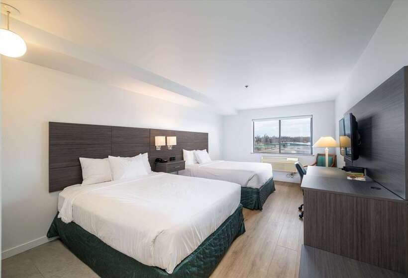 فندق Baymont Inn & Suites By Wyndham