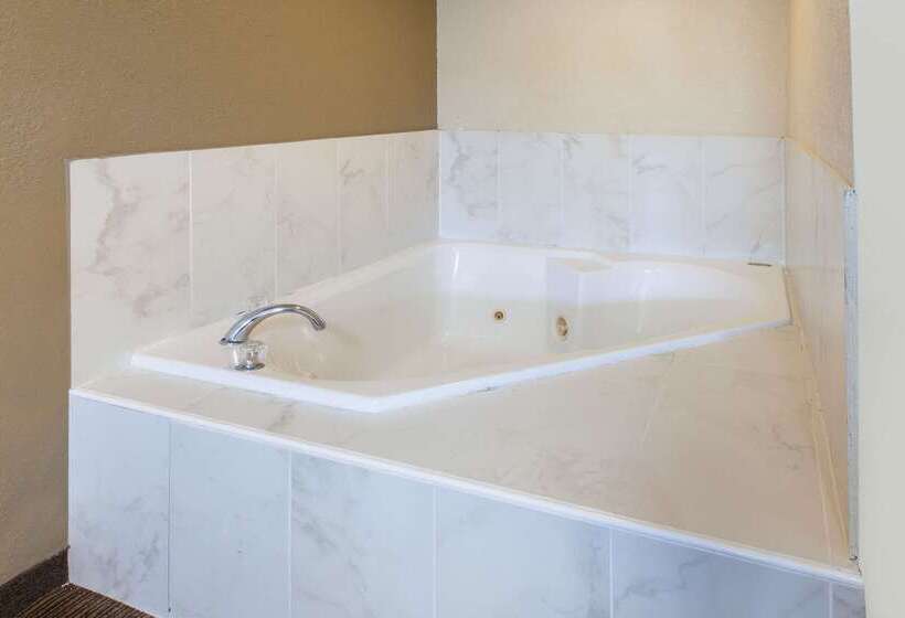 هتل Baymont By Wyndham Downtown Detroit