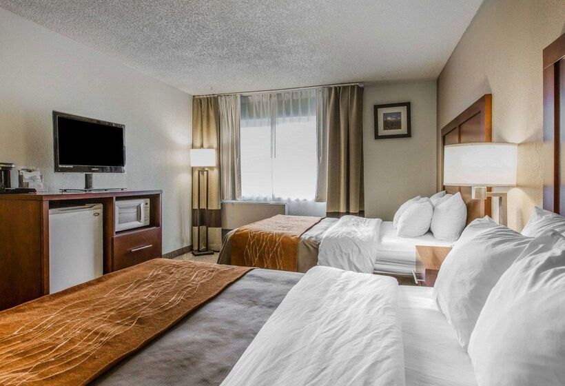 酒店 Comfort Inn Yreka I 5