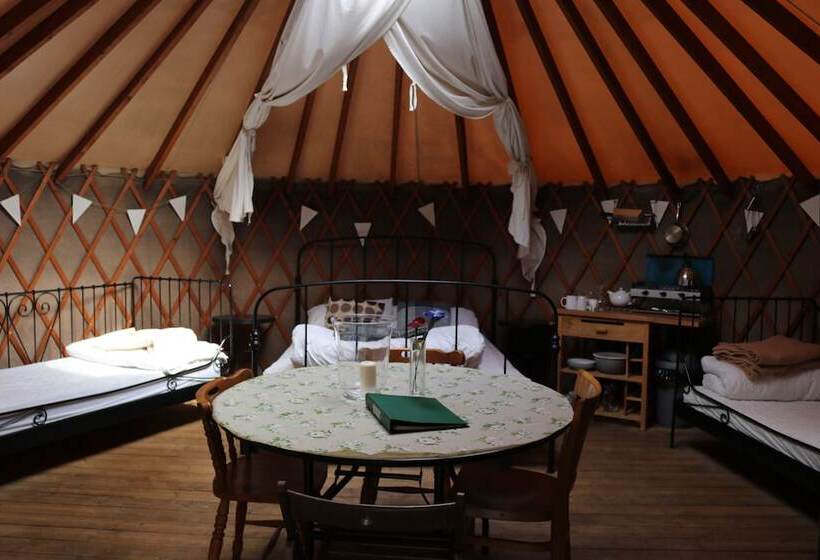 Отель Yurtcamp Devon