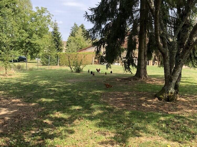 بنسيون Au Coq Des Bois