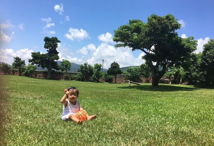 پانسیون Forest