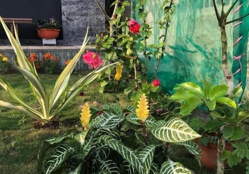 پانسیون Good Nest Homestay