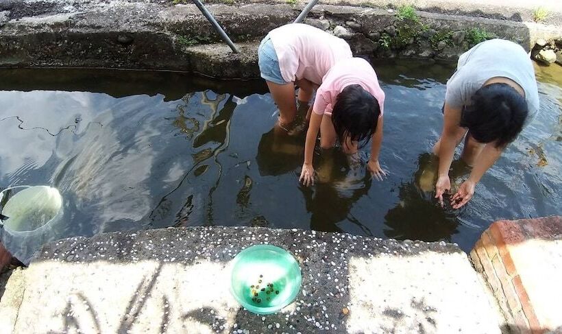 پانسیون Nature Home