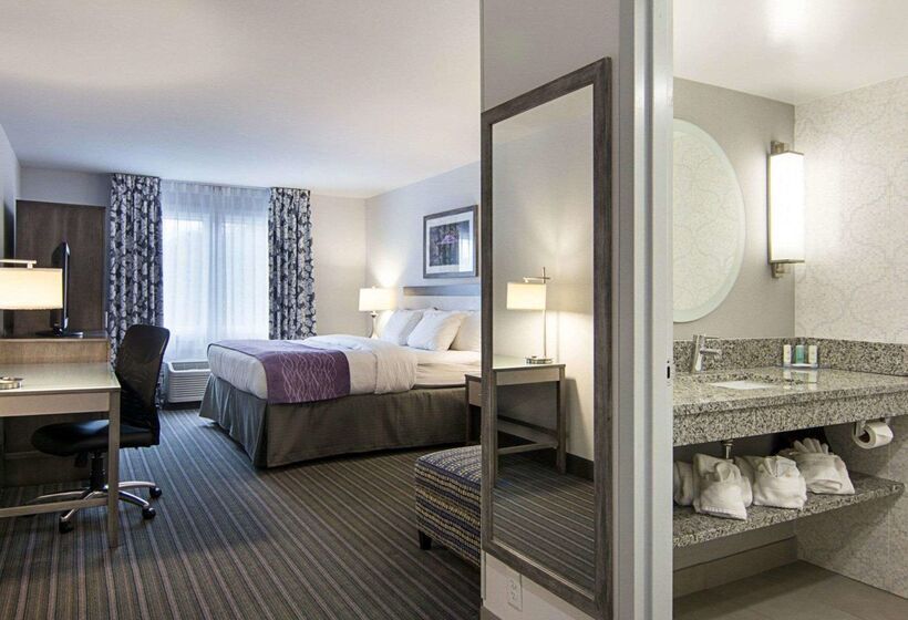هتل Comfort Inn Williamsburg Gateway