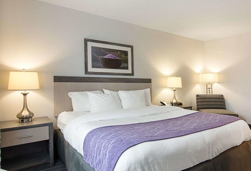 هتل Comfort Inn Williamsburg Gateway