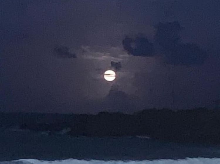 فندق Brisa Do Mar Beach