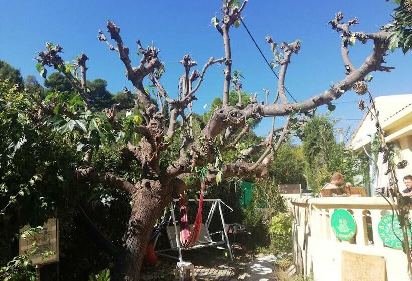 Mini Guest House Goclands   Hostel