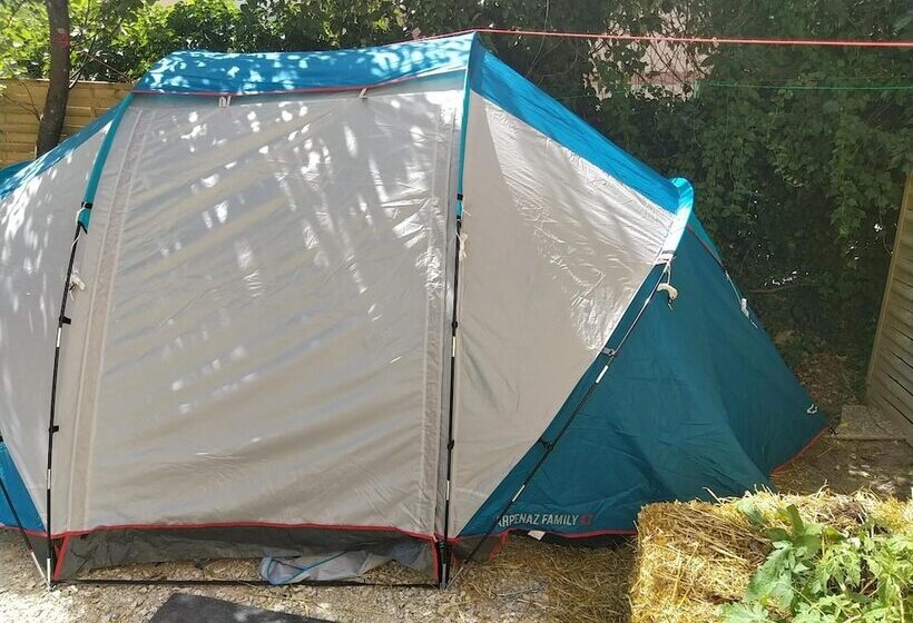 Mini Guest House Goclands   Hostel