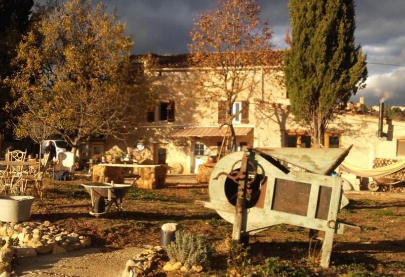 بنسيون La Ferme Constantin