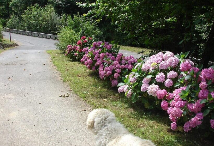 فندق ريفى Casa Rural Goikola