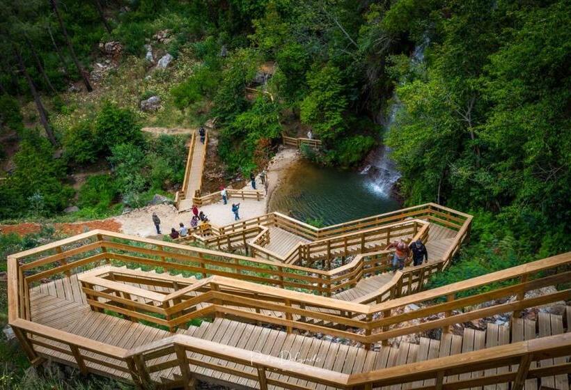 פנסיון Casa Do Silverio   Barroca