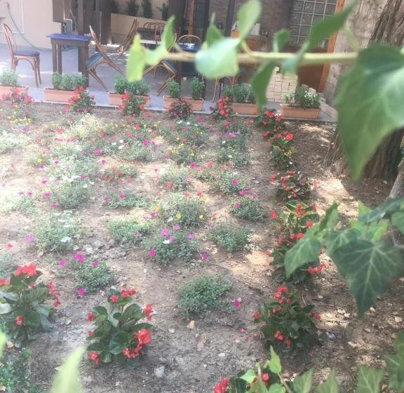 مبيت وإفطار La Casa Di Nonno Giulio