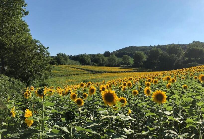 ベッドアンドブレックファースト Le Grenier Occitan