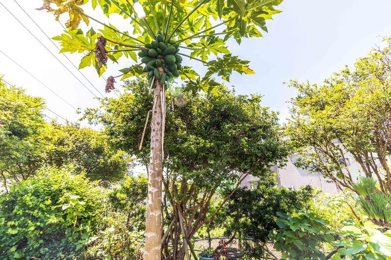 پانسیون Xiaocuixuanhomestay