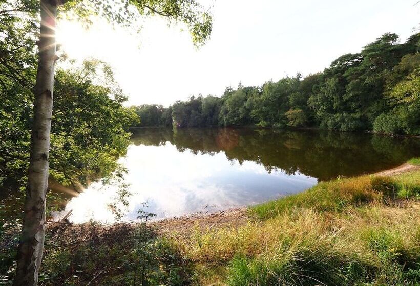 مبيت وإفطار Huize Boschoord