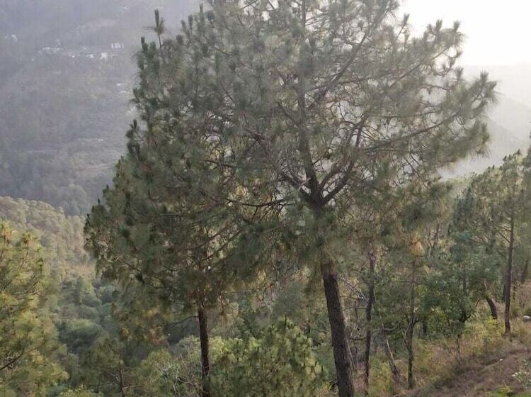 فندق Sun Pine Villa